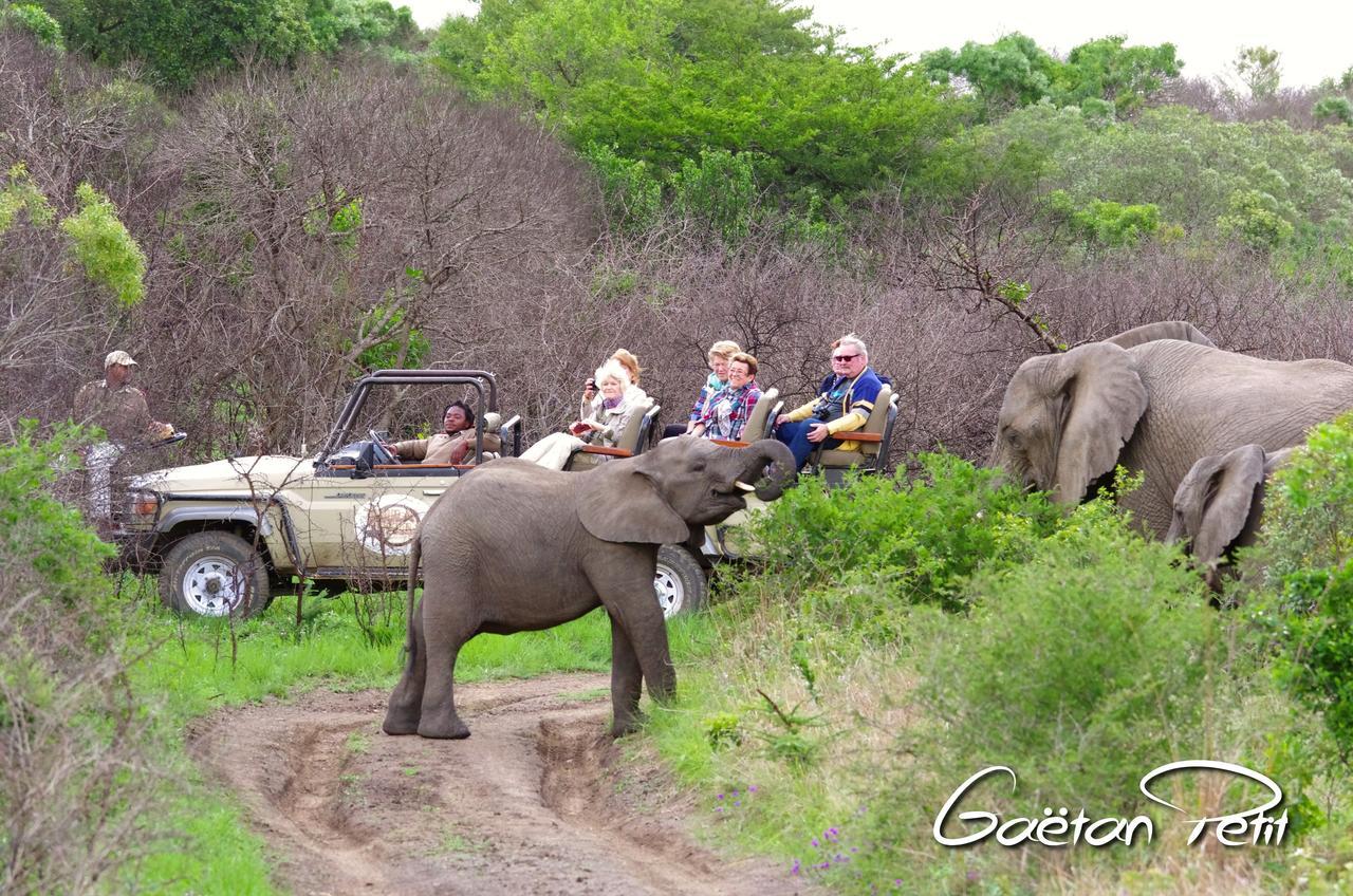 Thula Thula Exclusive Private Game Reserve & Lodge Ntambanana Bagian luar foto