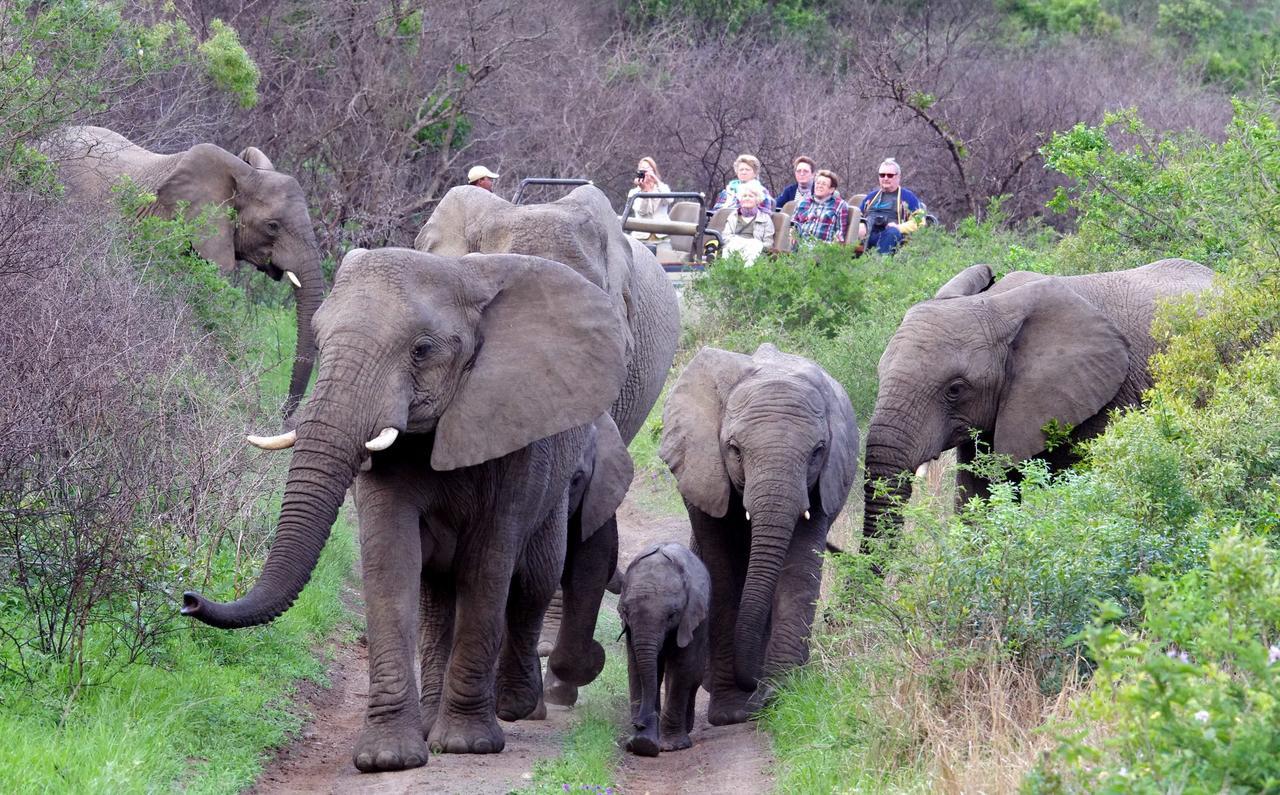 Thula Thula Exclusive Private Game Reserve & Lodge Ntambanana Bagian luar foto