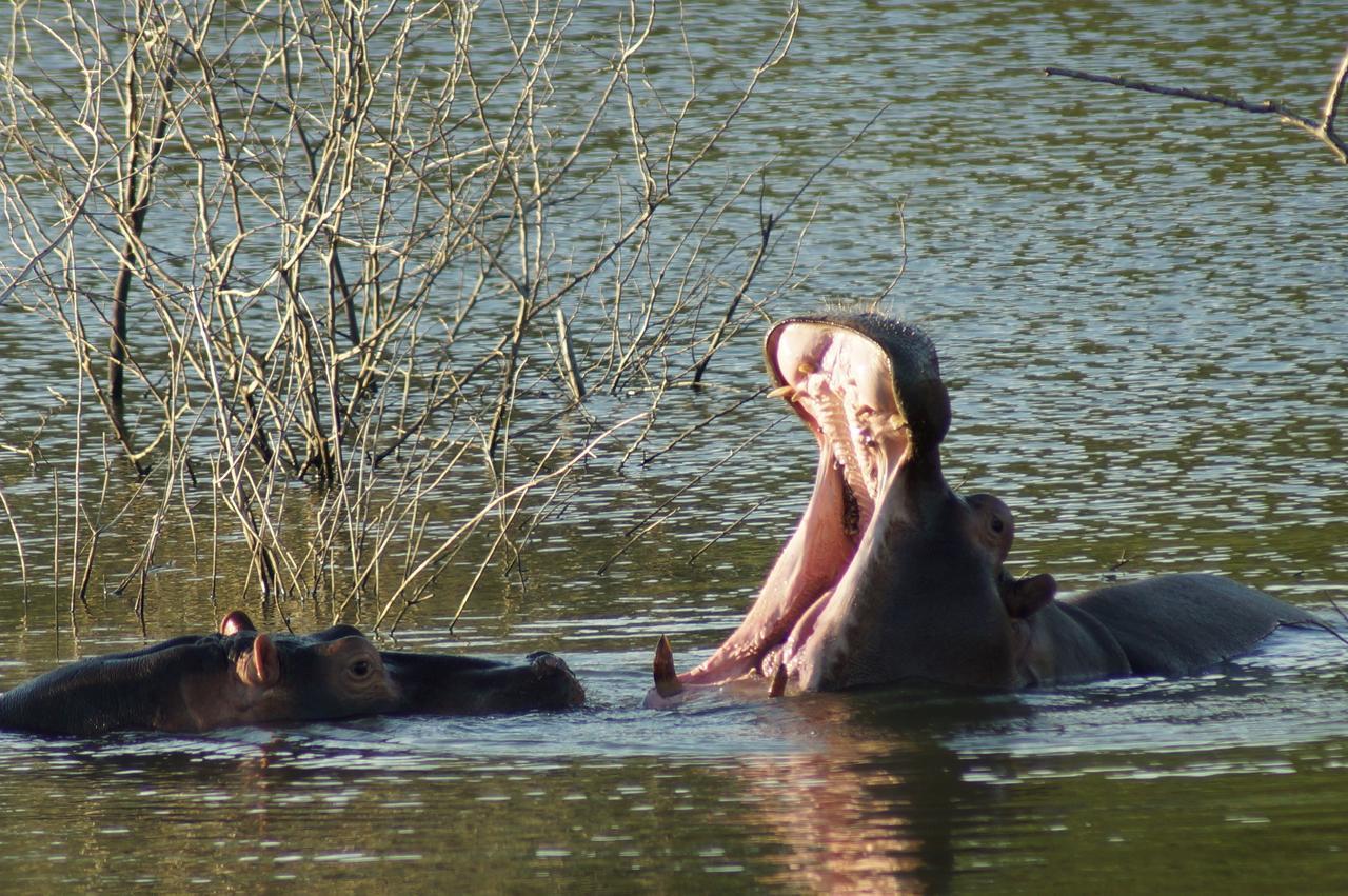 Thula Thula Exclusive Private Game Reserve & Lodge Ntambanana Bagian luar foto