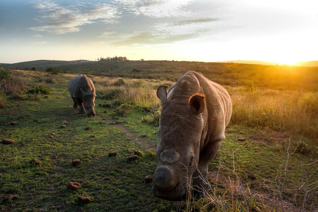 Thula Thula Exclusive Private Game Reserve & Lodge Ntambanana Bagian luar foto