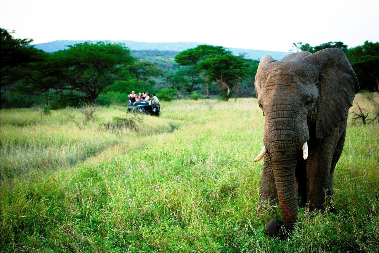 Thula Thula Exclusive Private Game Reserve & Lodge Ntambanana Bagian luar foto