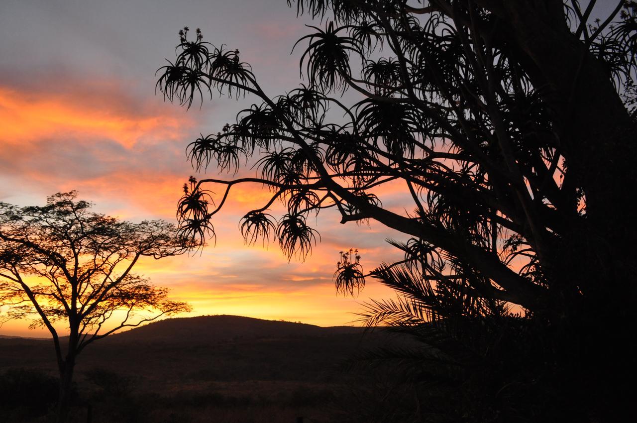 Thula Thula Exclusive Private Game Reserve & Lodge Ntambanana Bagian luar foto